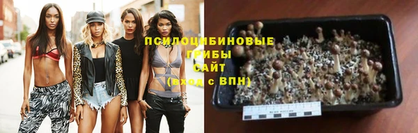 герыч Елизово