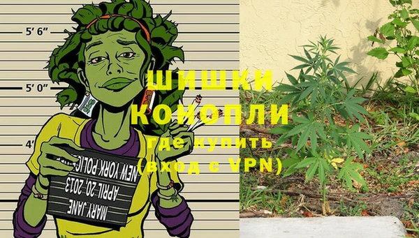 прущие грибы Кущёвская