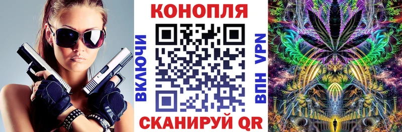 наркошоп  Долинск  Каннабис индика 